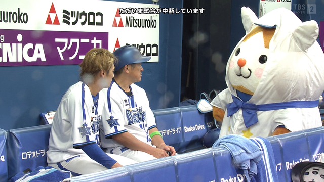 2024_0528_233134_151