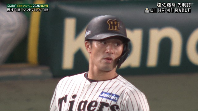 2025_1028_203109_741