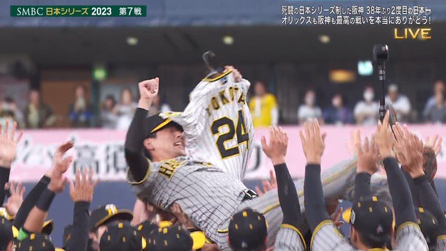 2023_1105_221807_226