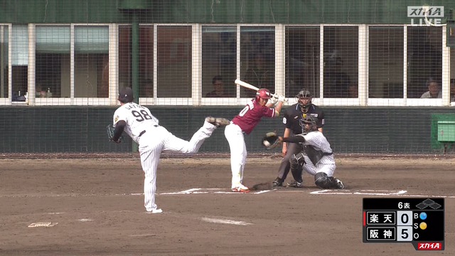 2025_0215_150242_681