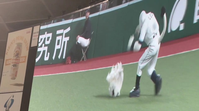 1lcIim49Asg06KSs.mp4_000065896