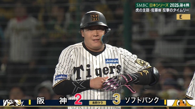 2025_1029_213330_395