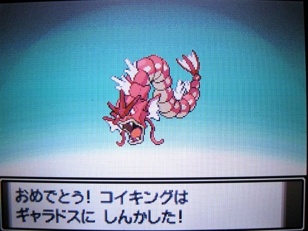 B なんj 広島東洋ギャラドス なんj まとめては いかんのか