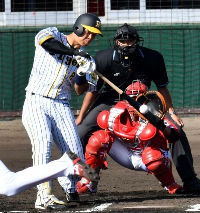 【朗報】阪神・佐藤輝明さん、ここまで実戦5試合で打率.545 2本塁打 8打点 OPS1.545