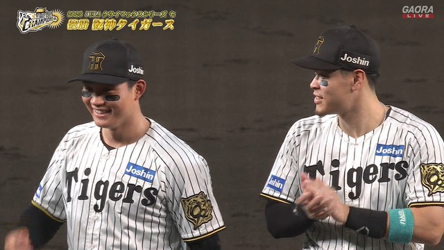 2025_1017_212317_351