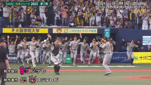 2023_1106_195315_129