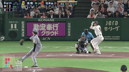 新規