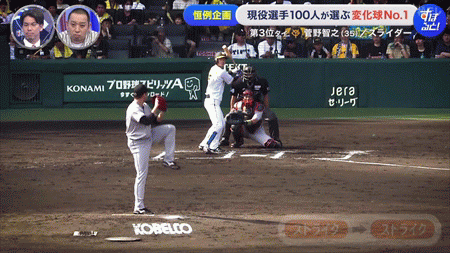 新規