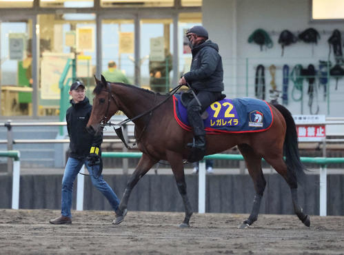 202512240000476-w500_2