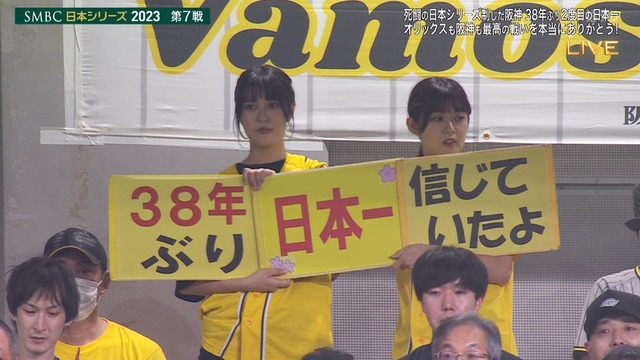 2023_1105_221325_617