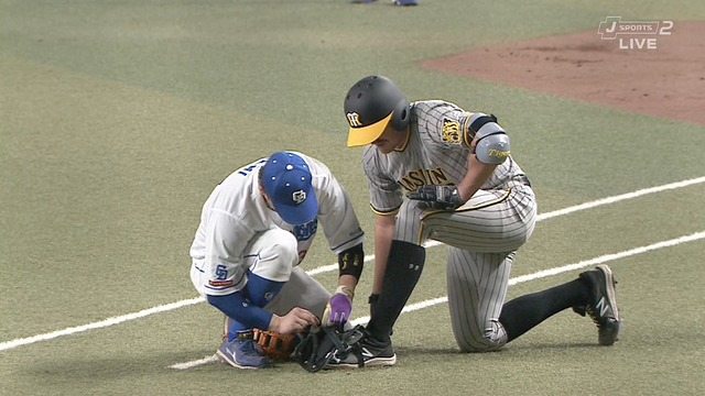 2023_0926_011041_764