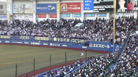新規