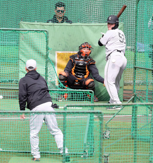 202602060000541-w500_5