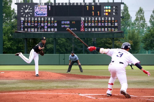 201907060000385-w500_0