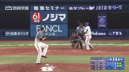 新規