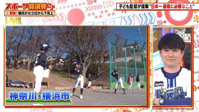 2024_1223_205338_036