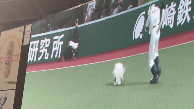 1lcIim49Asg06KSs.mp4_000065196