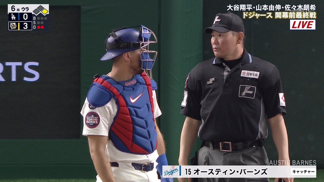 2025_0316_230441_999