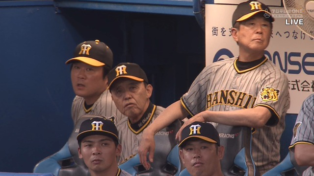 2024_0908_174534_990