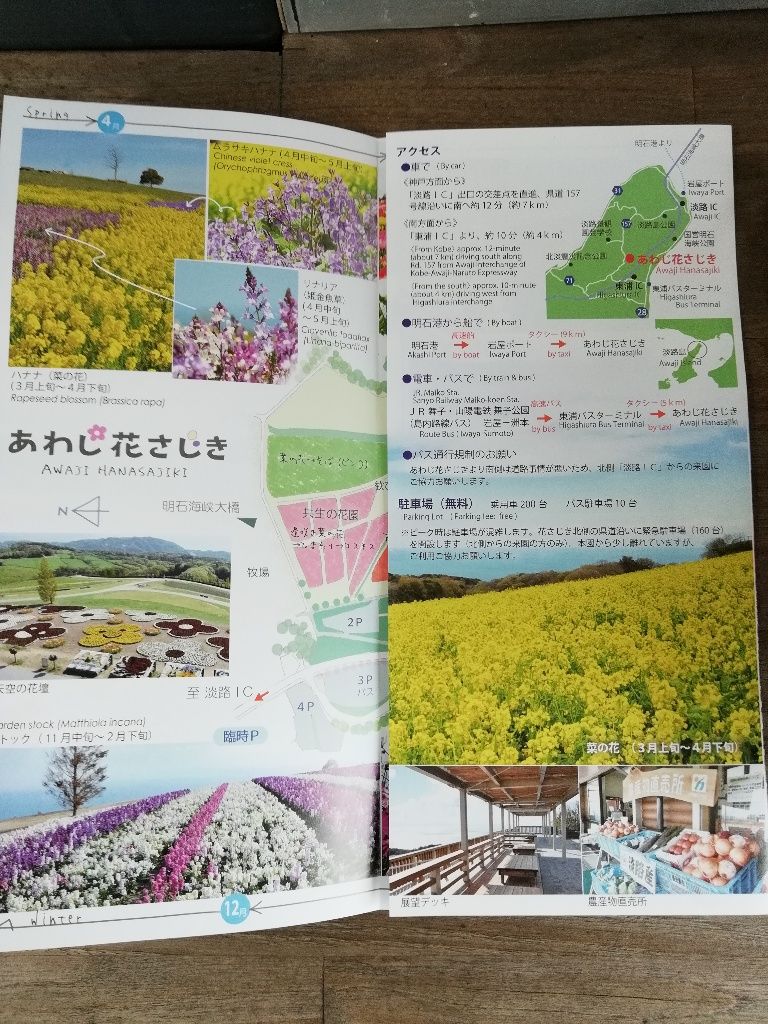 淡路島 花さじき アウトドアと知恵の輪