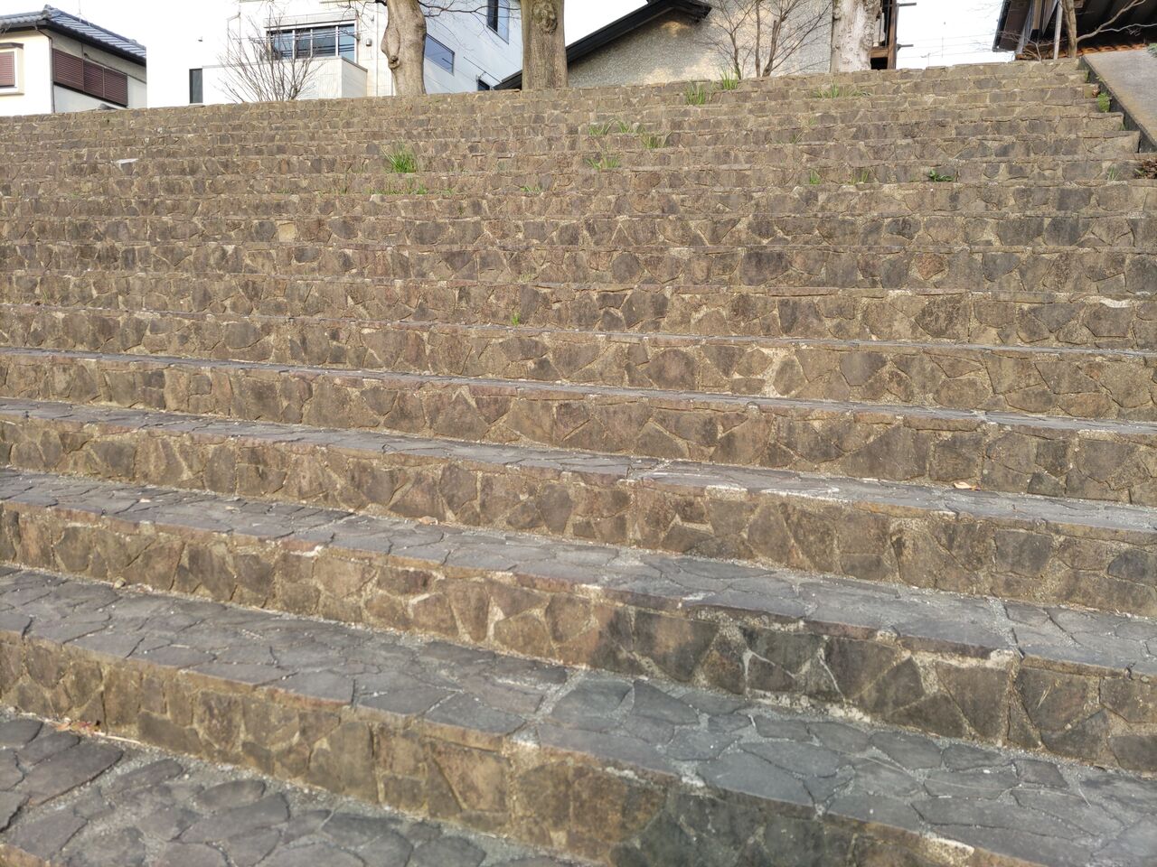 ラテンに包まれて! : ありゃ、逆戻り!?