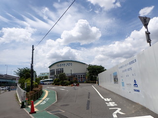 P8091546