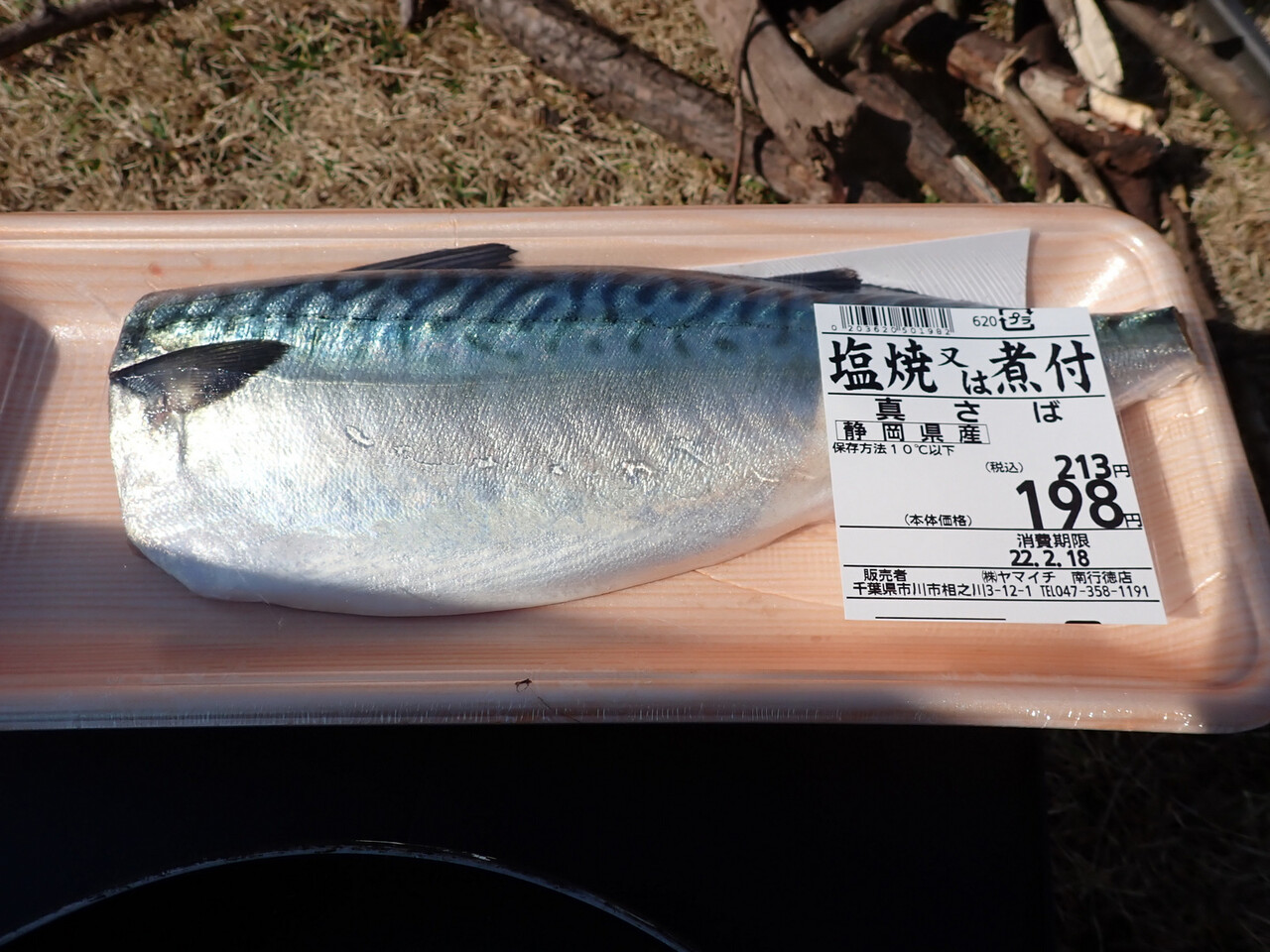 江戸川の畔(ほとり):三番瀬で鯖を焼く - livedoor Blog(ブログ)