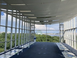 IMG_8749