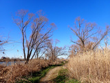 P1100216