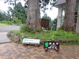 P8051098