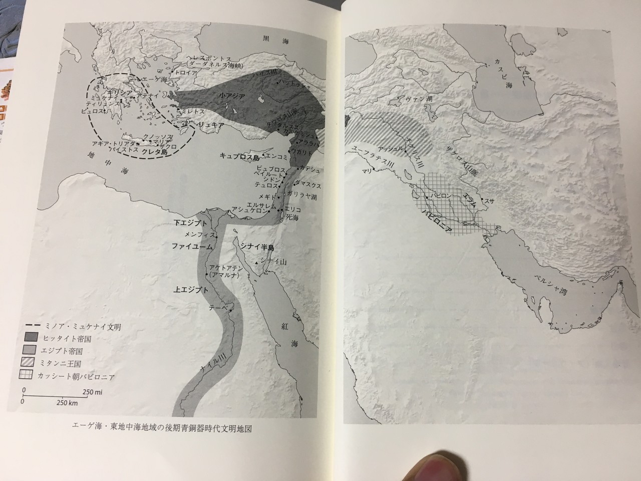 B.C.1177 古代グローバル文明の崩壊 エリック・H・クライン : 江戸川の