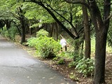 IMG_1346