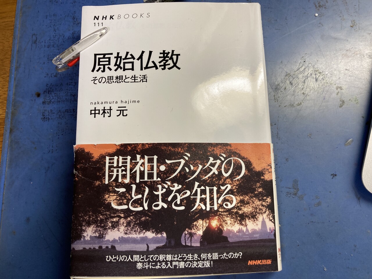 原始仏教」 中村元 : 江戸川の畔（ほとり）