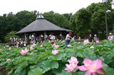 千葉公園0701