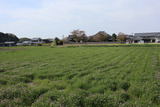 IMG_8972