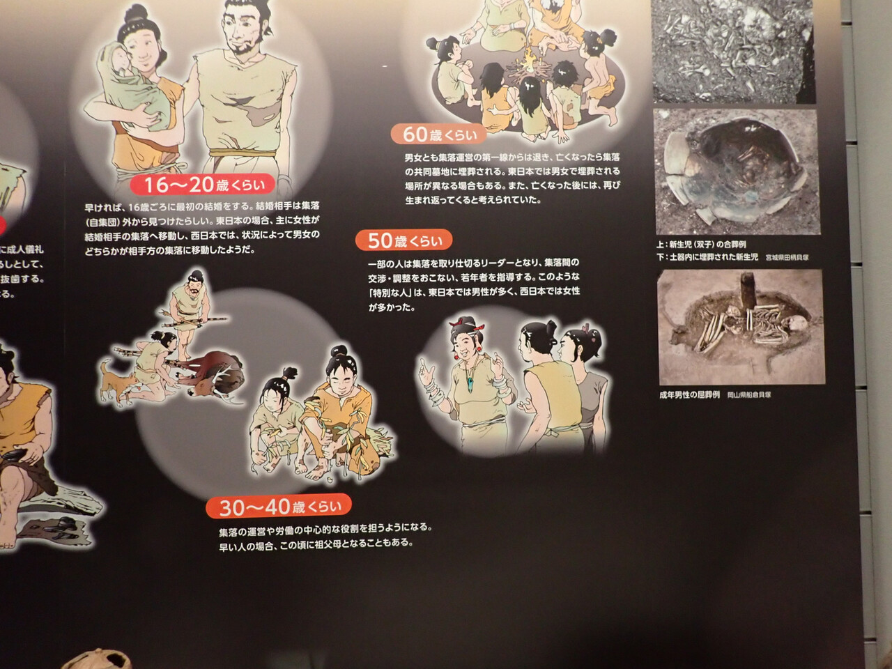 佐倉の国立歴史民俗博物館 江戸川の畔 ほとり 佐倉の国立歴史民俗博物館 江戸川の畔 ほとり