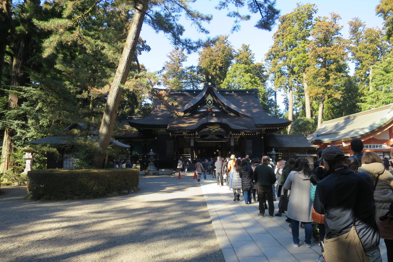 東国三社を廻る : 江戸川の畔(ほとり) 東国三社を廻る : 江戸川の畔(ほとり)