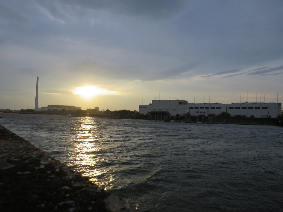 旧江戸川散歩 江戸川の畔 ほとり