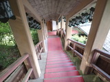 P4271595
