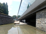P8030886