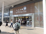 P8051163