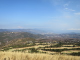 1-IMG_8269