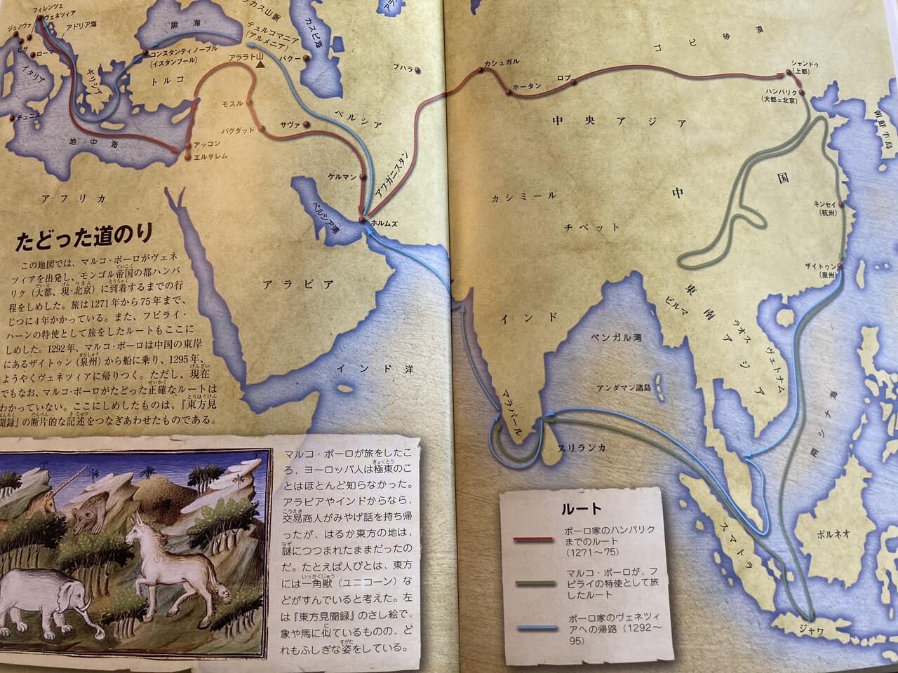 マルコ ポーロ 江戸川の畔 ほとり マルコ ポーロ 江戸川の畔 ほとり