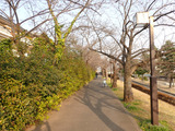P3090232