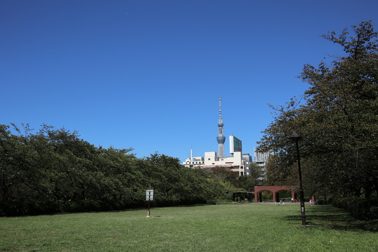 猿江恩賜公園 江戸川の畔 ほとり