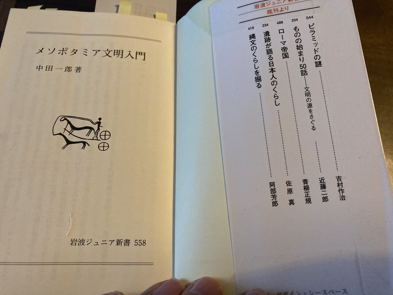 メソポタミア文明入門」田中一郎（2） : 江戸川の畔（ほとり）
