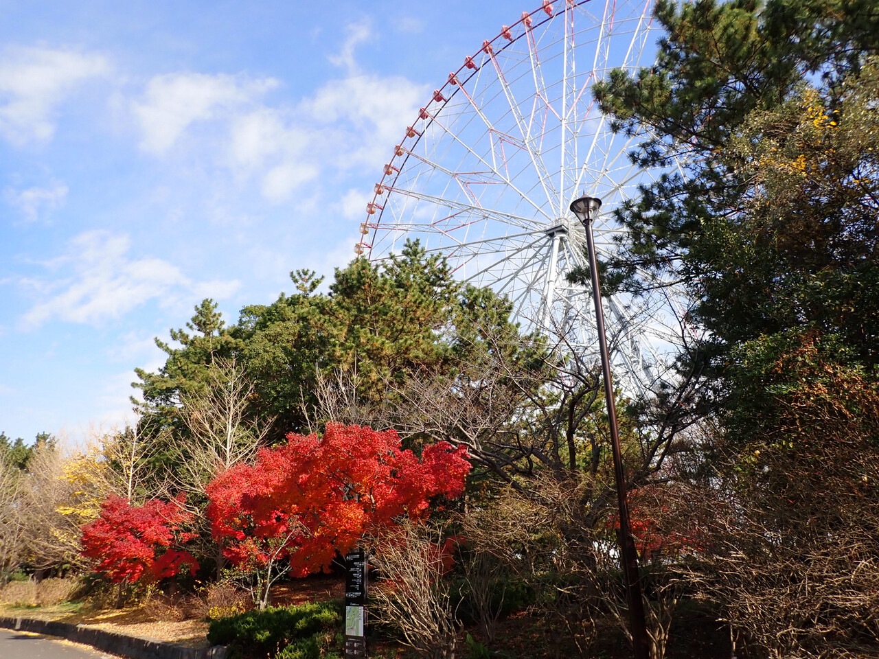 葛西臨海公園 西なぎさ 江戸川の畔 ほとり