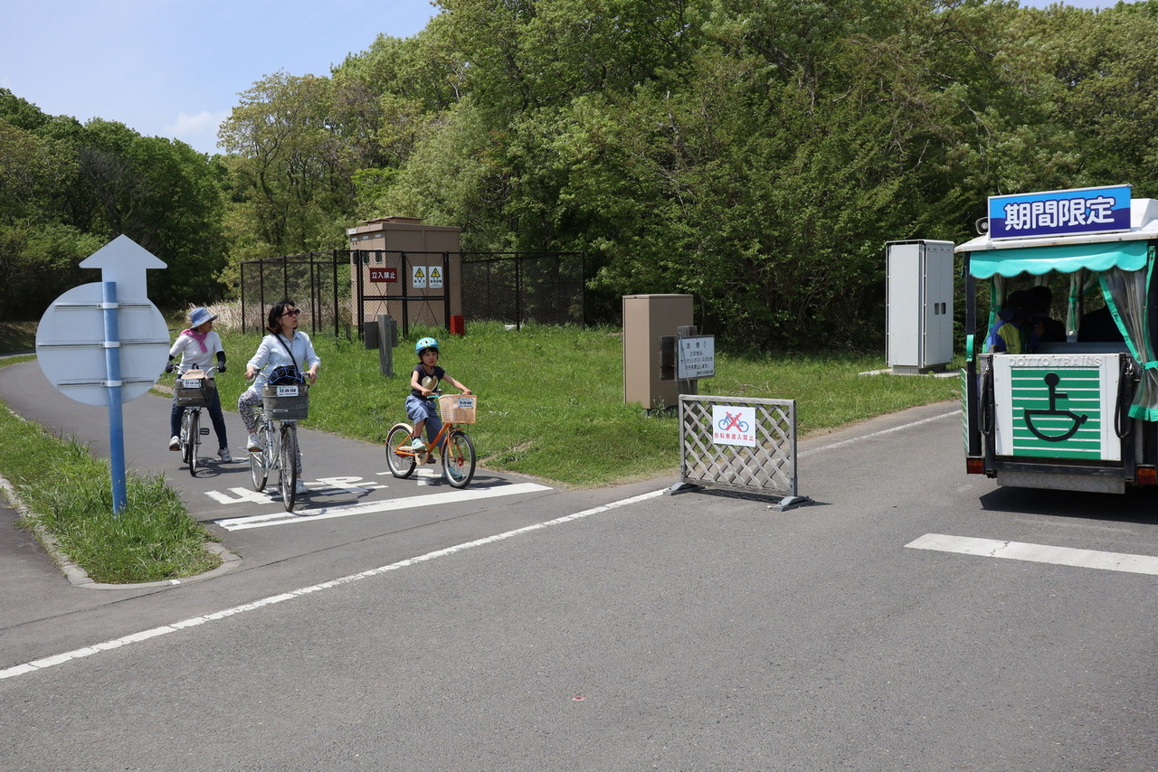 ひたち海浜公園とあしかがフラワーパーク 江戸川の畔 ほとり ひたち海浜公園とあしかがフラワーパーク 江戸川の畔 ほとり