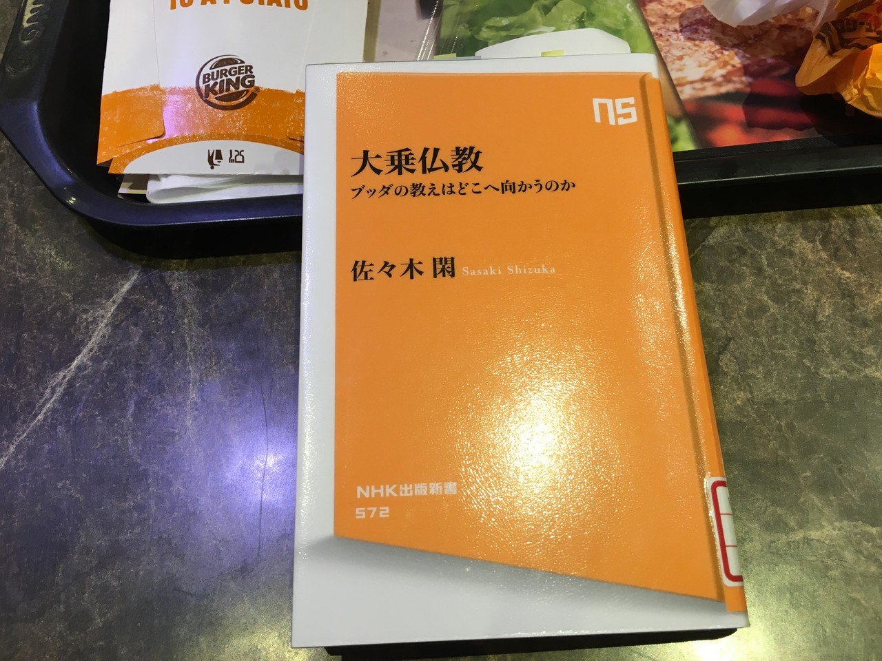 大乗仏教」ブッダの教えはどこに行くのか（完） : 江戸川の畔