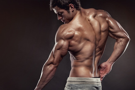 身長と筋肉ってどっちのほうが重要 2chまとめ もふもっふ速報